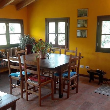 Vila L'Oca Mannara Ameno Exteriér fotografie