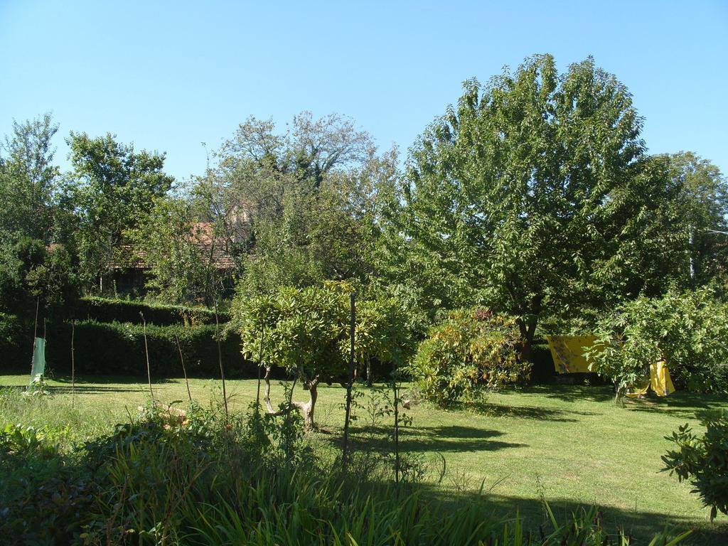Vila L'Oca Mannara Ameno Exteriér fotografie